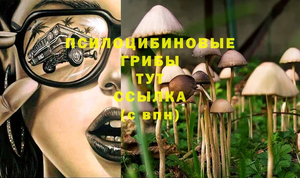 a pvp Арсеньев