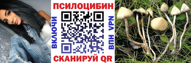 Псилоцибиновые грибы мухоморы Купить Верхняя Тура